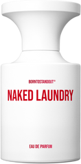 naked-laundry-image