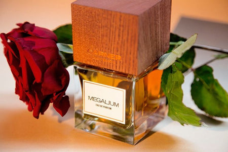 Megalium (Discontinued) - CARNER - Bloom Perfumery