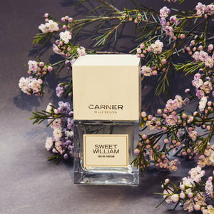 Sweet William (Discontinued) - CARNER - Bloom Perfumery