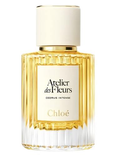 Chloé Cedrus Intense by Chloe