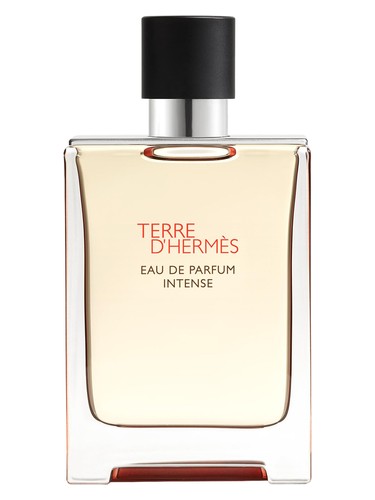 Hermès Terre d’Hermès Intense by Hermes