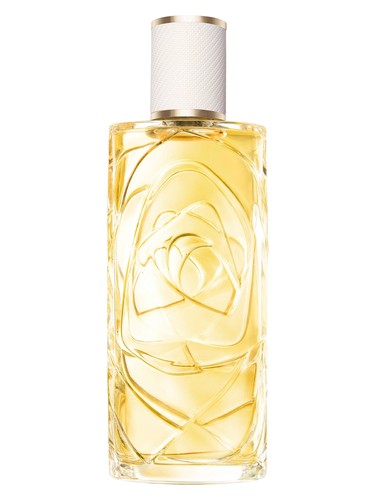 Lancôme Ô Zenith by Lancome