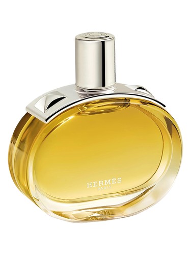 Hermès Barénia Intense by Hermes