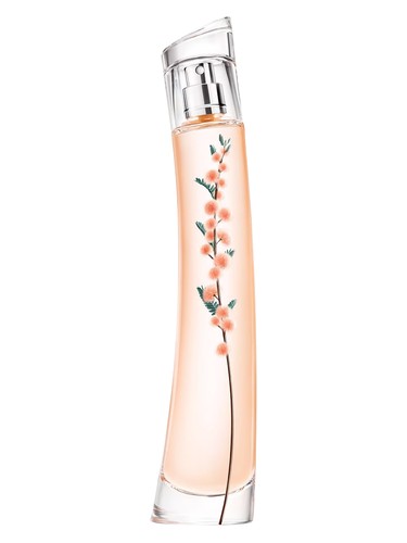 Flower Ikebana Mimosa by Kenzo