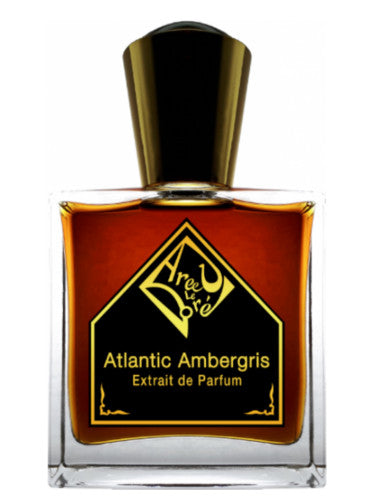 Ambergris best sale scent description