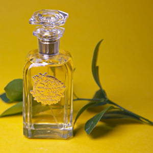 Orangers en Fleurs - Houbigant - Bloom Perfumery