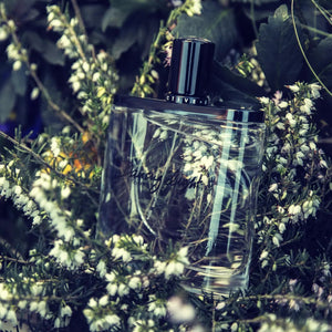 Dancing Light - Olfactive Studio - Bloom Perfumery