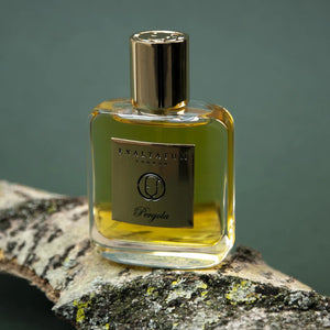 Pergola - Exaltatum - Bloom Perfumery