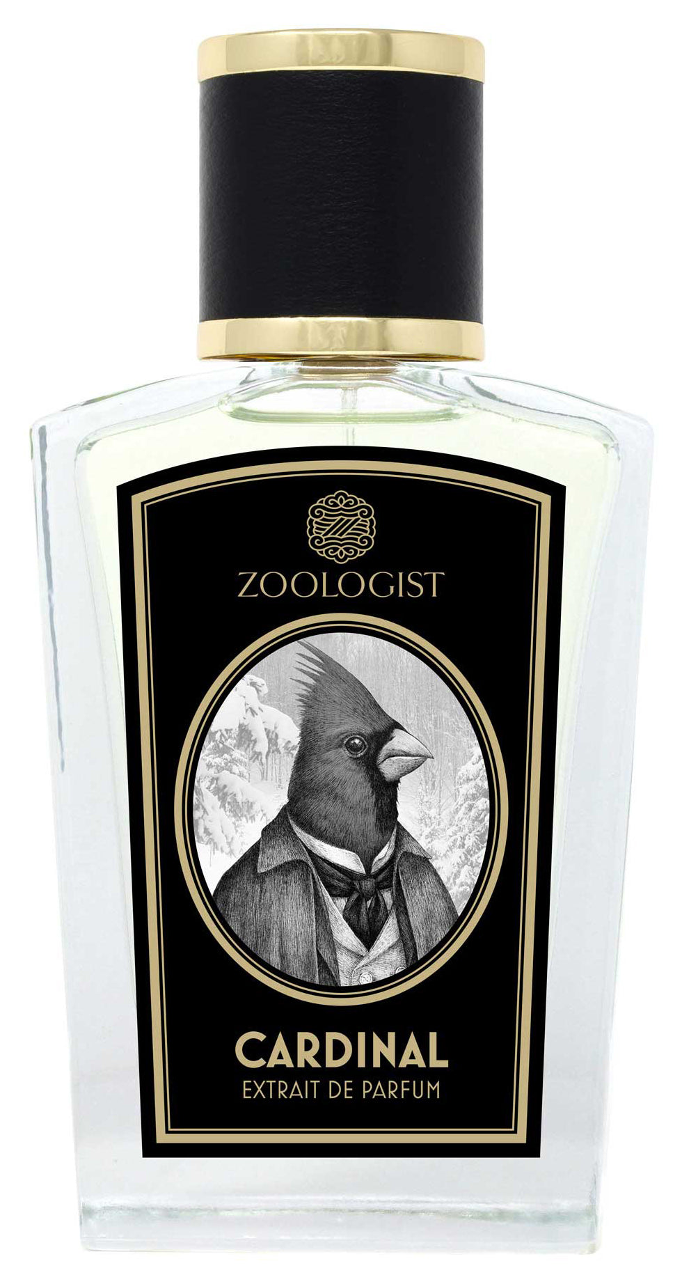 Cardinal (Discontinued) | Zoologist | Bloom Perfumery London