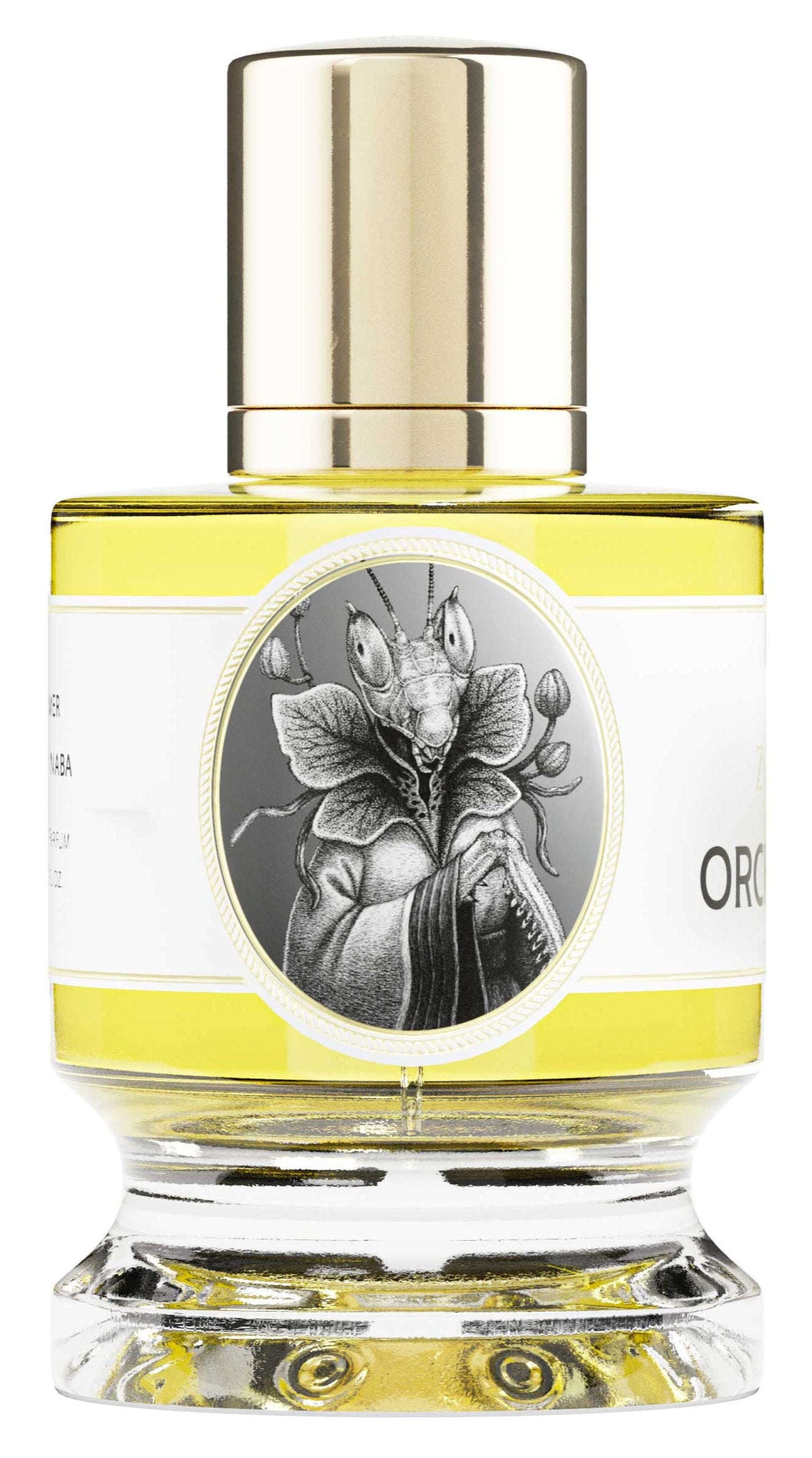Orchid Mantis | Zoologist | Bloom Perfumery London