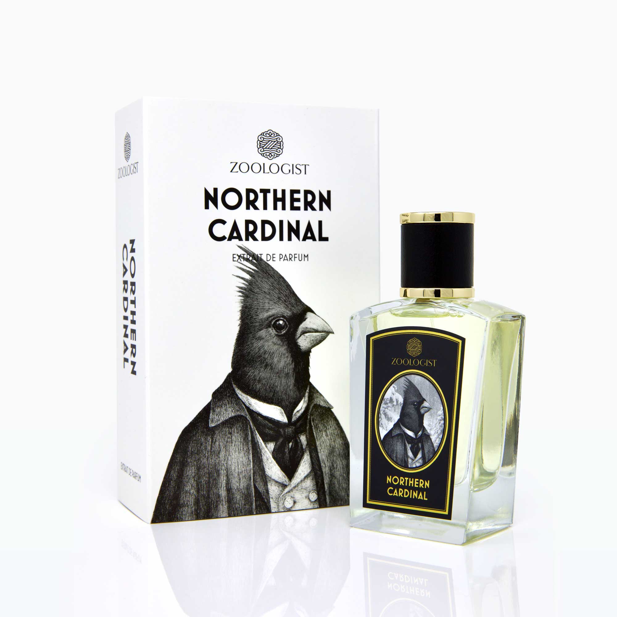 Cardinal (Discontinued) | Zoologist | Bloom Perfumery London