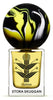 Silphium
