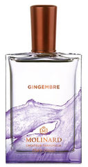 gingembre-image