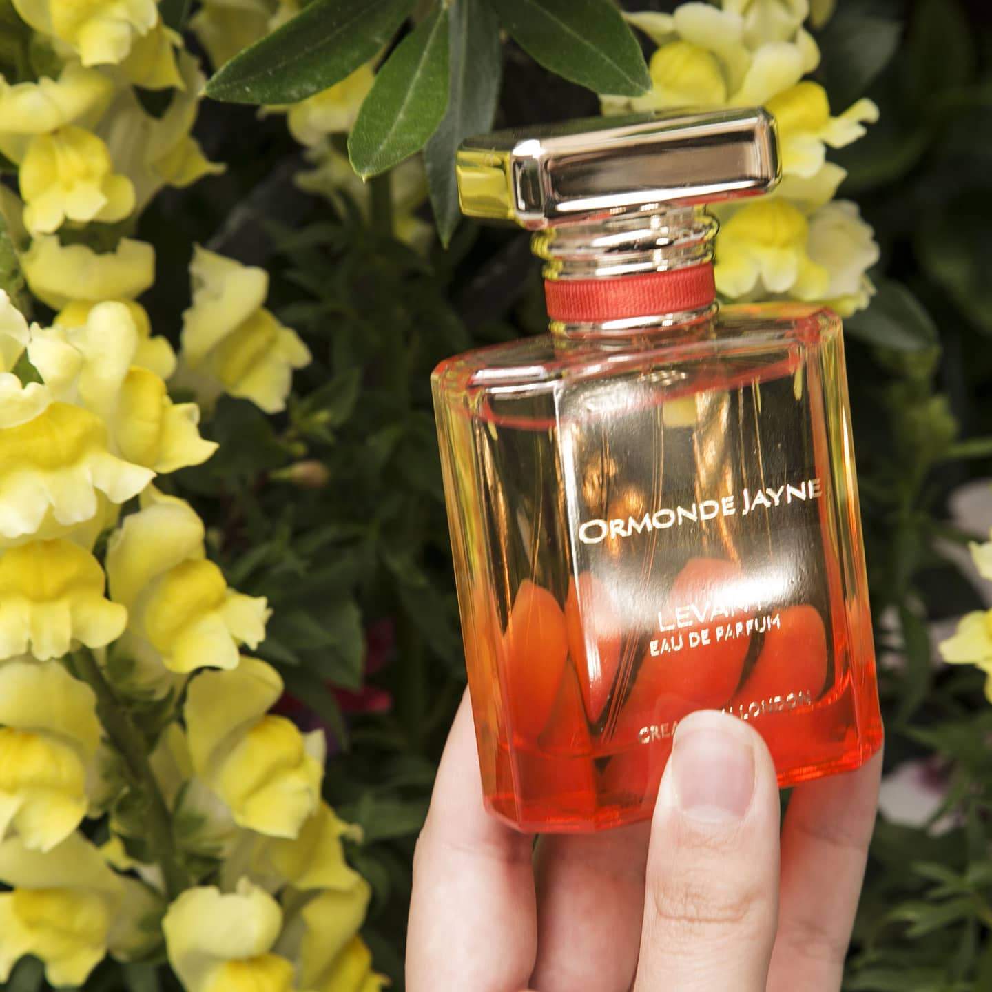 Levant (Discontinued) | Ormonde Jayne | Bloom Perfumery London