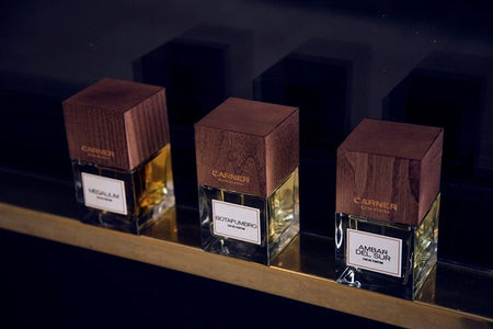 Ambar del Sur - CARNER - Bloom Perfumery