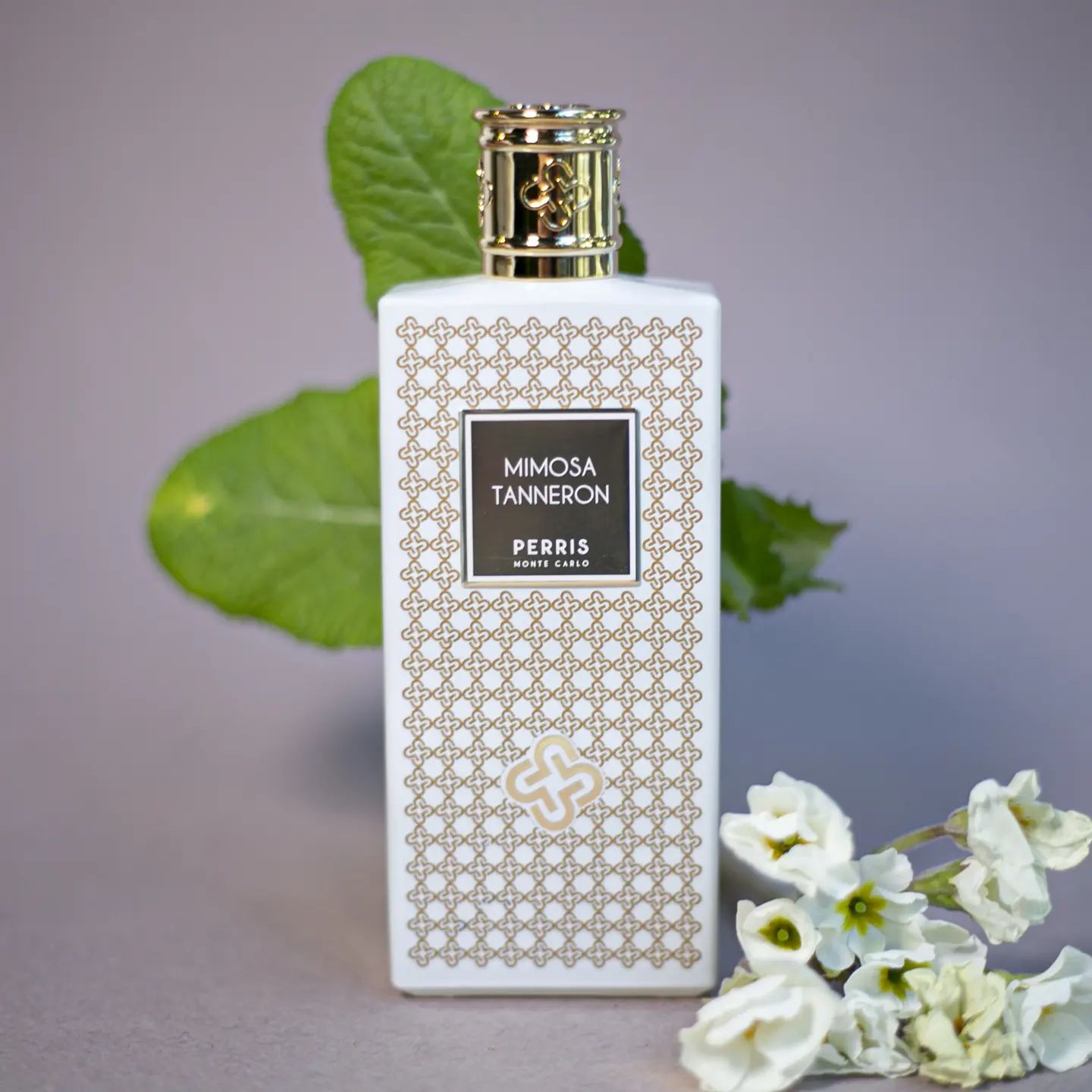 Mimosa Tanneron | Perris Monte Carlo | Bloom Perfumery London
