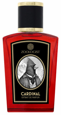 Cardinal (Limited Edition) (Discontinued) | Zoologist | Bloom