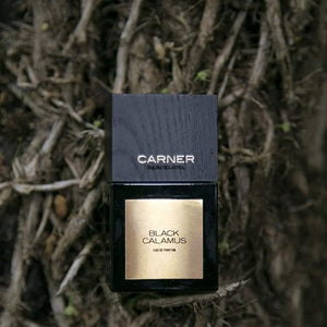 Black Calamus - CARNER - Bloom Perfumery