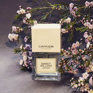 Sweet William - CARNER - Bloom Perfumery