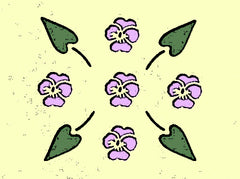 Violets Pack - Bloom Sample Packs - Bloom Perfumery