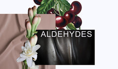 Aldehydes Pack - Bloom Sample Packs - Bloom Perfumery