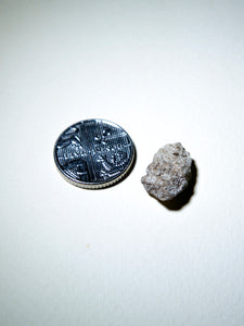White Ambergris 0.16 g SOLD - Natural Ambergris عَنْبَر - Bloom Perfumery